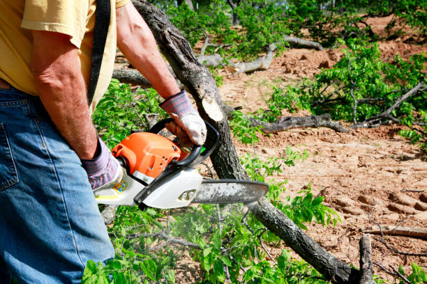 Lawn Grading and Leveling in Bull Run, VA